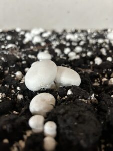 IMG 4581 (FILEminimizer)