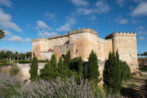 TOPAS. Castillo del Buen Amor. bodega y hotel 2 (FILEminimizer)