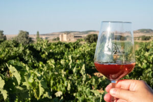 VILLANUEVA DE CAMPEaN. Bodegas El Soto. Cata en vinedo (FILEminimizer)