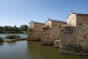 ZAMORA. Acenas de Olivares (FILEminimizer)