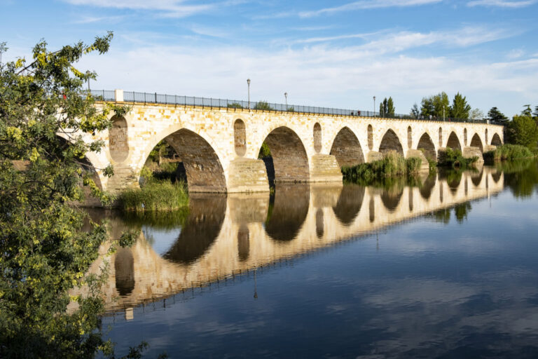 ZAMORA. Puente de Piedra (4) (FILEminimizer)