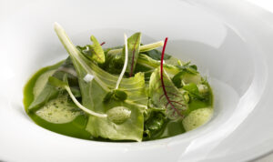 acelga enana josean alija