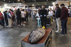 atun rojo en Gastronoma