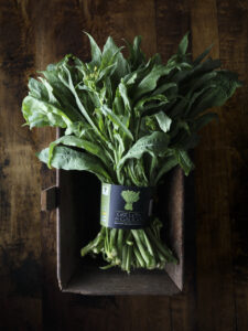 grelos 6 (FILEminimizer)