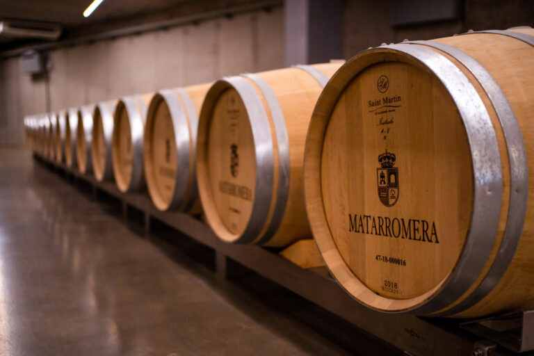 BODEGA MATARROMERA (25) (FILEminimizer)