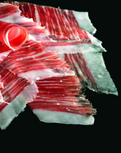 Jamon 04 (FILEminimizer)