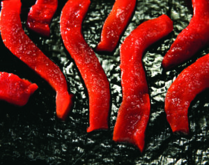 Pimientos 02 (FILEminimizer)