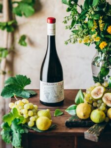 bodegon la fillaboa 1898 2016 (2) (FILEminimizer)