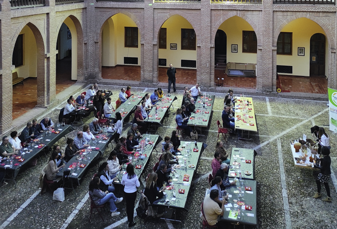 catas singulares ruta del vino de rueda - castilla de la mota