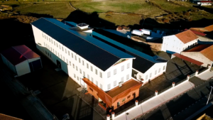 nueva planta (FILEminimizer)