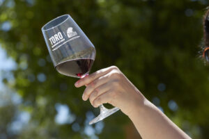 Toro2020 (28) (FILEminimizer)