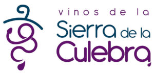 VSLC logo (002)