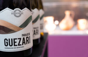 Bodega Reyno de Artajona. Visita combinada bodega y yacimiento Santa Criz de Eslava (FILEminimizer)