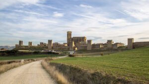 Cerco de Artajona vista general Francis Vaquero Turismo de Navarra (FILEminimizer)