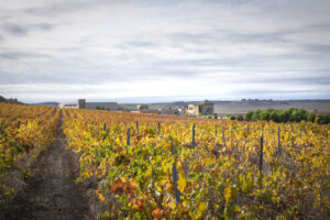 PAGOS DE ARAIZ (11) (FILEminimizer)