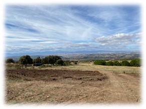 el llano de la madera