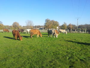 20131128 161141 (FILEminimizer)