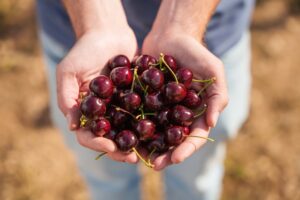 Copia de DSC07909 (FILEminimizer)