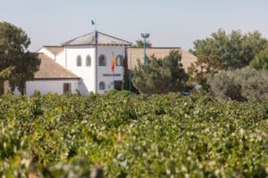 Requena Pago de Tharsys (FILEminimizer)