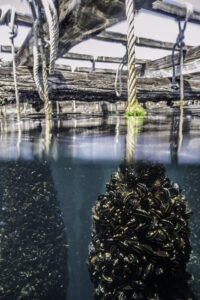 170713REMEAG-OSCARVIFER029 (FILEminimizer)