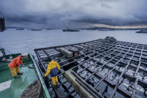 5D41141 (FILEminimizer)