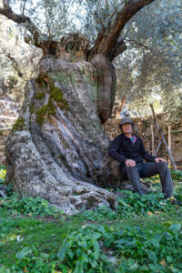 CENTRE CAPVESPRE. Visita a un olivar. Finca Es Mas. Pere Suau y olivo (FILEminimizer)