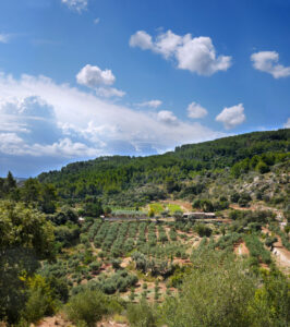 ES VERGER. Panorama de la finca y la montana (FILEminimizer)