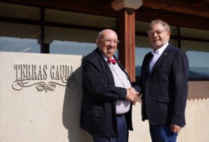 FONSECA Y VERINO