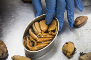 Proceso-MEJILLON05 (FILEminimizer)