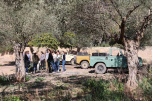 SON MORAGUES. visitas oleoturisticas. copy SONMO (FILEminimizer)