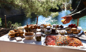 SON MORAGUES. visitas oleoturisticas. picnic. copy SONMO (FILEminimizer)