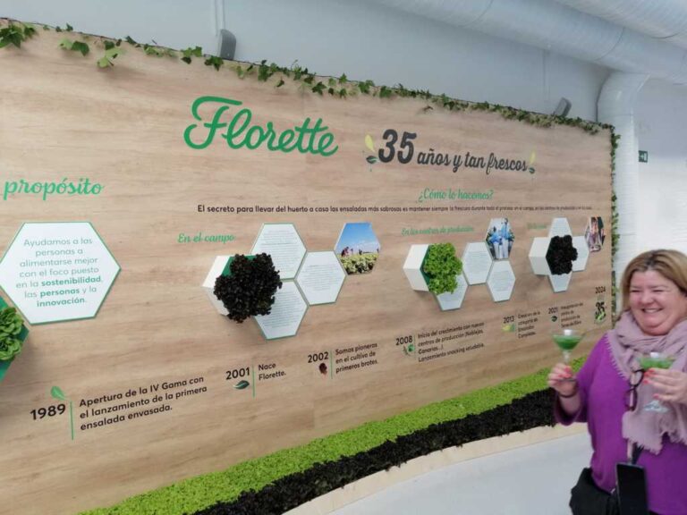 IMG-20240523-WA0002 (002) (FILEminimizer)