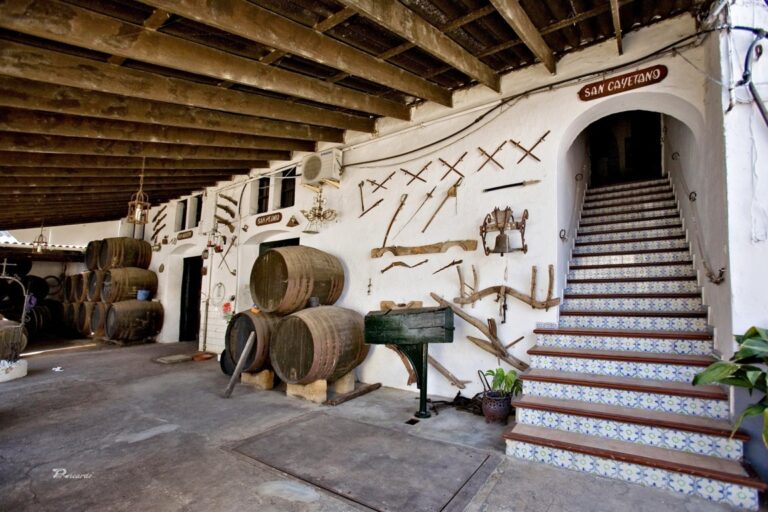 Patio Bodegas Barón