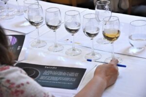 curso cata 360 (11 abril) (58) (FILEminimizer)