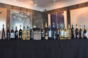 resumen añada 2021 (7)