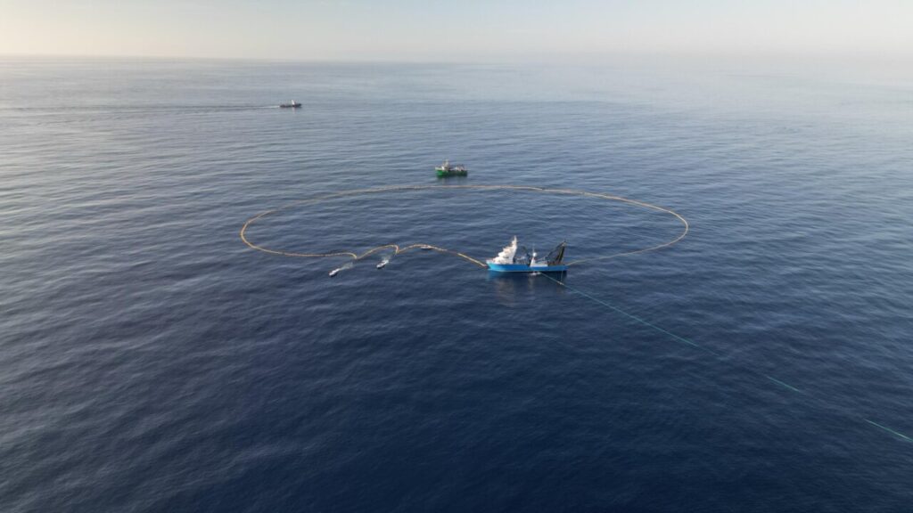 thumbnail FIN CAMPAÑA 2024 4