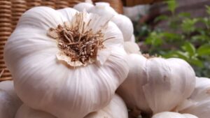 thumbnail 1-Ajos de Zamora (FILEminimizer)