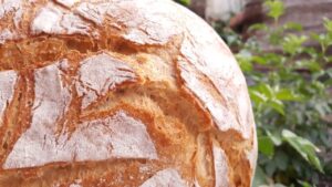 thumbnail 1-Pan-Harina tradicinal zamorana (FILEminimizer)