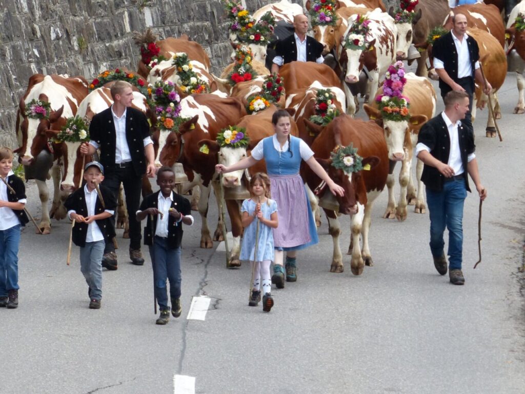 thumbnail Désalpe de L'Etivaz 2