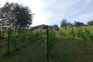 Euskadi 005 (FILEminimizer)