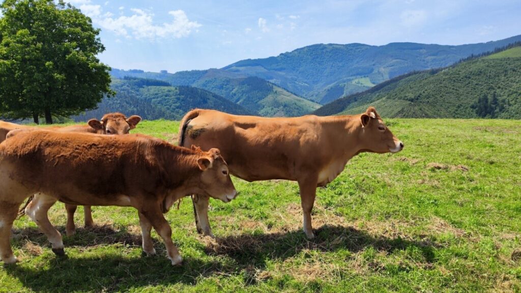 IMG 20240605 123640 (FILEminimizer)