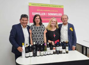 VINOS Cinve 2
