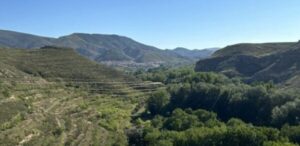 cervera2