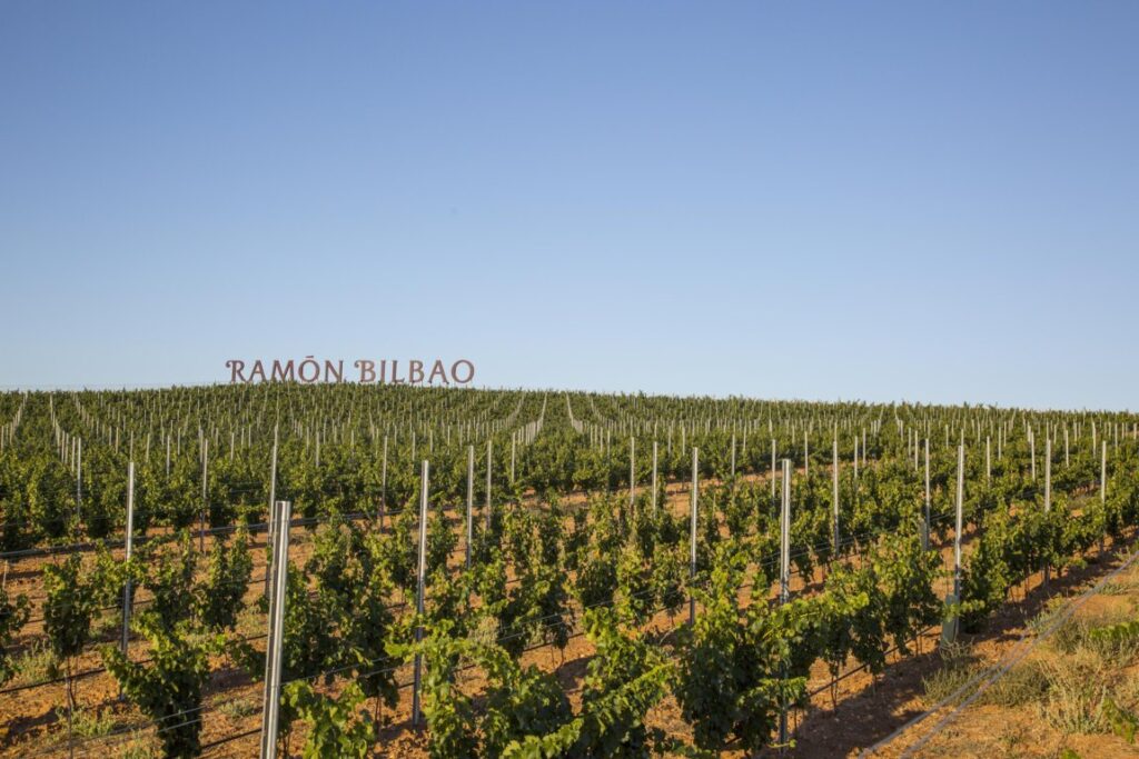 ramon bilbao 2