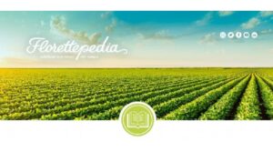 39532 l imagen de la florettepedia