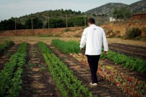 88b3lpYg (FILEminimizer)