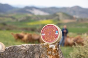 Agammasur-114 (FILEminimizer)