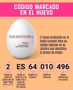 Codigo