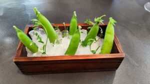 IMG 20240606 134058 (FILEminimizer)