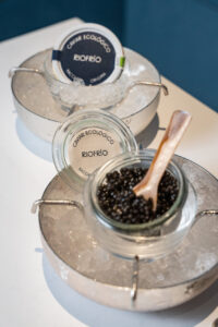 Pop Up Riofrio 2